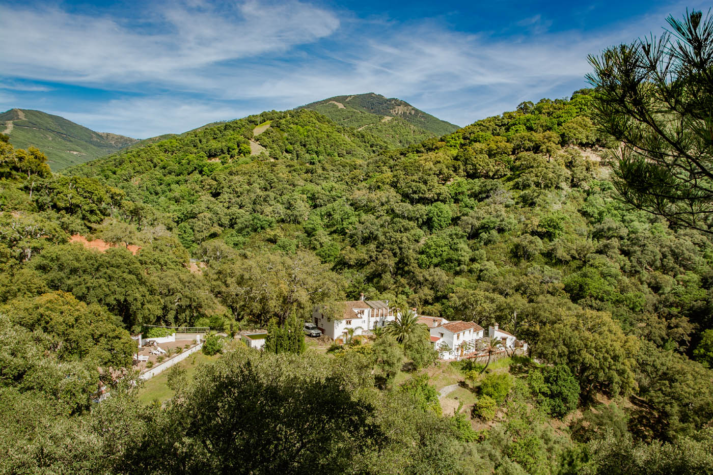 Property managers live in detached house but you remain private 